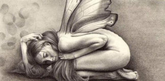 Como sair da jaula construída por um predador emocional Como sair da jaula construída por um predador emocional