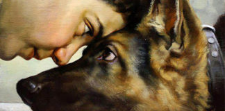 Troca de olhares é o segredo do afeto entre cães e donos, comprova pesquisa