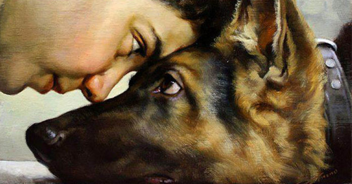 Troca de olhares é o segredo do afeto entre cães e donos, comprova pesquisa