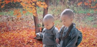 Cabe a cada um de nós