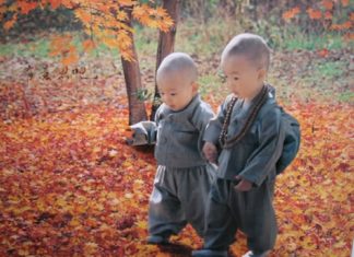 Cabe a cada um de nós