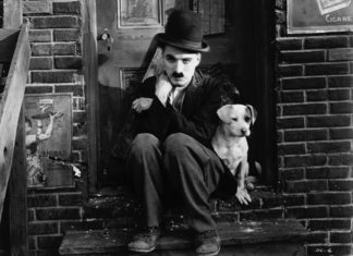 Não seja opção, seja prioridade