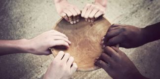 O segredo da vida O segredo da vida