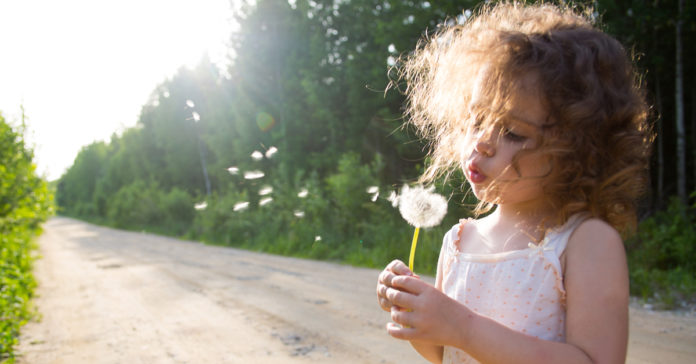 Ano que vem eu vou…