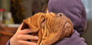 Por que a dor conecta mais do que o amor?