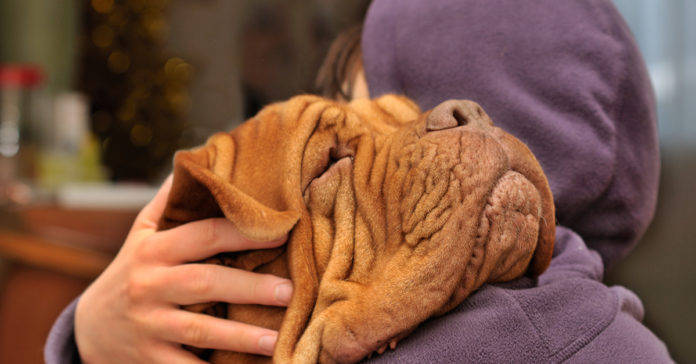 shutterstock_44600662 Por que a dor conecta mais do que o amor?