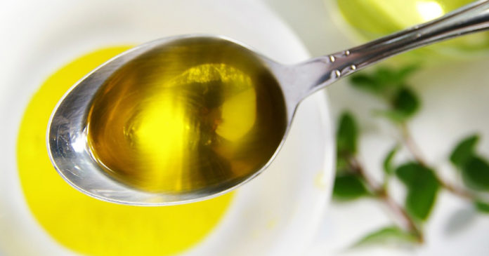 SABEDORIA CONTI Como adquirir a verdadeira Sabedoria