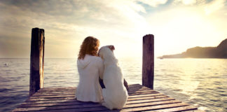 Lugar de mágoa é nos cotovelos. No coração a gente sente amor. Lugar de mágoa é nos cotovelos. No coração a gente sente amor.