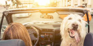 Pesquisas apontam: quem passa menos tempo no Facebook é mais feliz