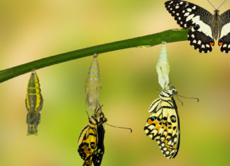 A gente só muda quando a gente se encontra