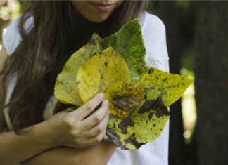 A vida fica mais leve quando a gente prefere florir, em vez de ferir