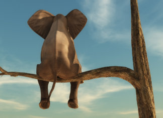 Ensine para a sua solidão qual é o lugar dela