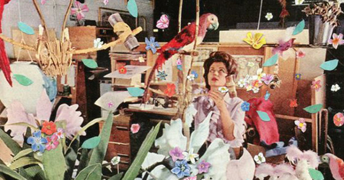 Clara Porque a adequação me doía, eu me reinventei