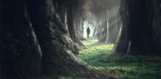 A poesia inexplicável da vida A poesia inexplicável da vida