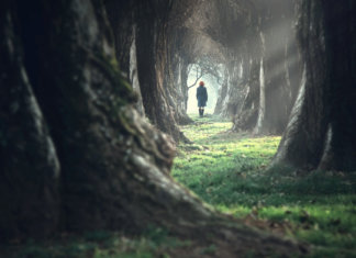 A poesia inexplicável da vida