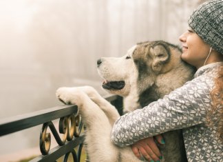 Considerações sobre um abraço bem dado