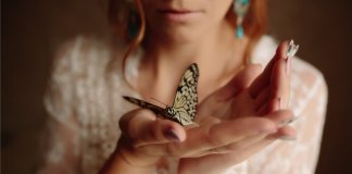 A gente não pode ajudar, com as próprias mãos, uma borboleta a sair do casulo