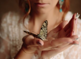 A gente não pode ajudar, com as próprias mãos, uma borboleta a sair do casulo