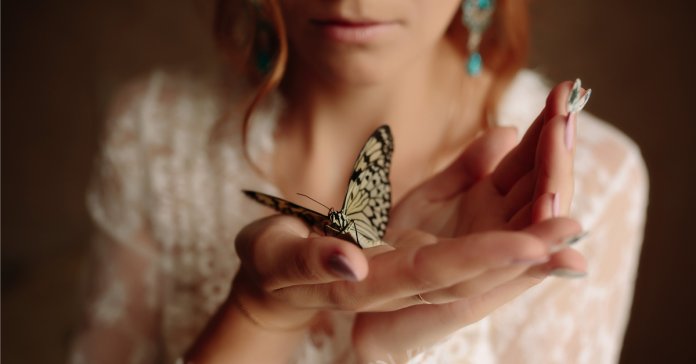 A gente não pode ajudar, com as próprias mãos, uma borboleta a sair do casulo