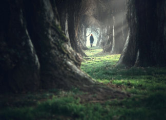 Uma cabeça cheia de medos não tem espaço para sonhos