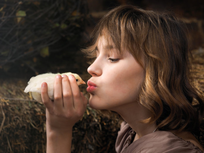 shutterstock_582535654 Aceita que a vida ajeita.