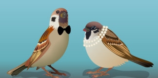 Desculpe decepcionar, mas, no amor, não existe a lei da compensação