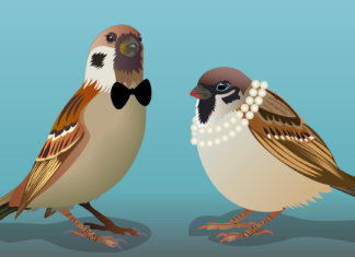 Desculpe decepcionar, mas, no amor, não existe a lei da compensação