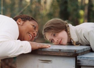 A doçura do mel não vale a picada da abelha