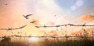 Perdoar não é esquecer