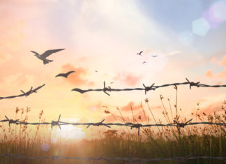 Perdoar não é esquecer