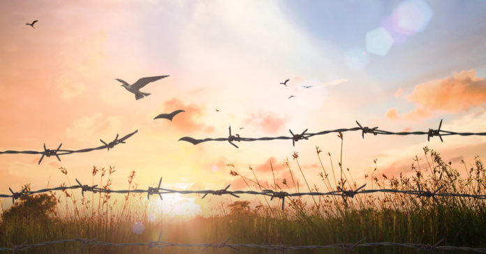 Perdoar não é esquecer