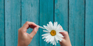 Bem me quer, mal me quer, não me quer. Um adeus às ilusões.