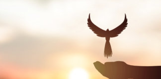 “Torna-te quem tu és” “Torna-te quem tu és”