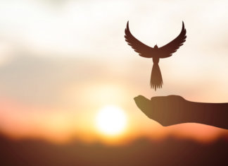 “Torna-te quem tu és”