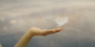 É preciso saber desistir. O que há de ser será com ou sem a nossa vontade.