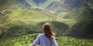Nada como perdoar e esquecer: perdoar a pessoa e esquecer que ela existe!