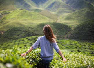 Nada como perdoar e esquecer: perdoar a pessoa e esquecer que ela existe!