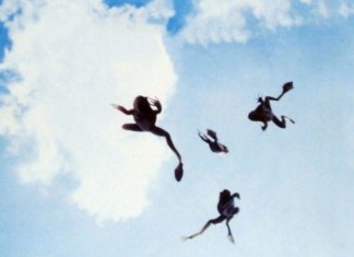 Que tal parar de engolir sapo?