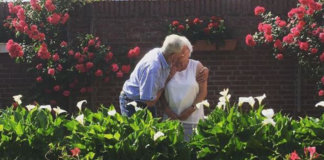 10 histórias a respeito de avôs e avós que vão te emocionar e inspirar