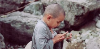 Sentir-se isolado provoca grande sofrimento afetivo Sentir-se isolado provoca grande sofrimento afetivo