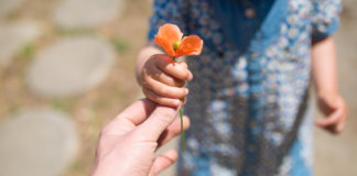 A melhor defesa que existe é a honestidade