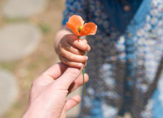 A melhor defesa que existe é a honestidade