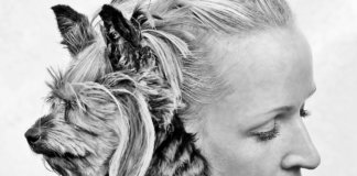 Quando o cachorro é nosso, a mordida dói mais Quando o cachorro é nosso, a mordida dói mais