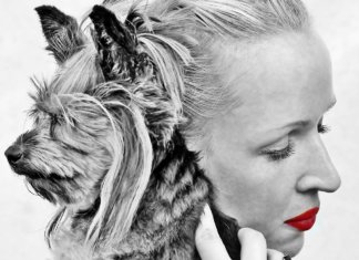 Quando o cachorro é nosso, a mordida dói mais