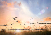 Por que você deveria perdoar até mesmo quem não merece? Por que você deveria perdoar até mesmo quem não merece?