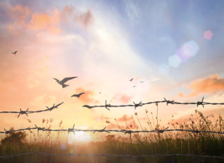 Por que você deveria perdoar até mesmo quem não merece?