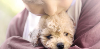 5 hábitos de pessoas honestas