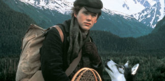 5 dicas Netflix: Filmes adoráveis de cães sob uma perspectiva emocional.