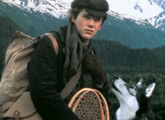 5 dicas Netflix: Filmes adoráveis de cães sob uma perspectiva emocional.