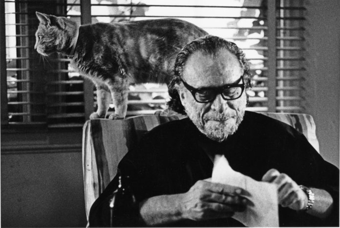 Os gatos de Bukowski: entenda o fascínio do escritor pelos felinos